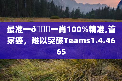 最准一🐎一肖100%精准,管家婆，难以突破Teams1.4.4665