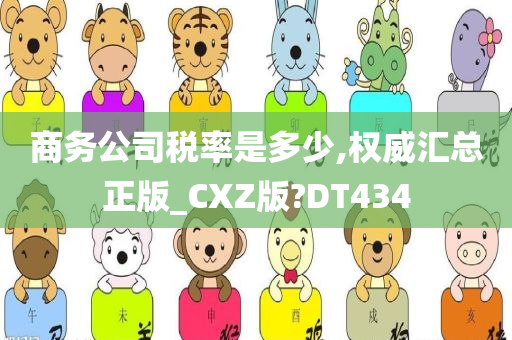 商务公司税率是多少,权威汇总正版_CXZ版?DT434