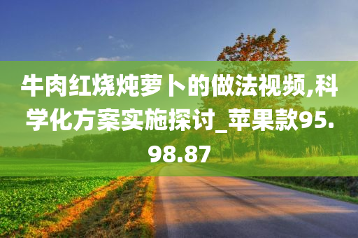 牛肉红烧炖萝卜的做法视频,科学化方案实施探讨_苹果款95.98.87