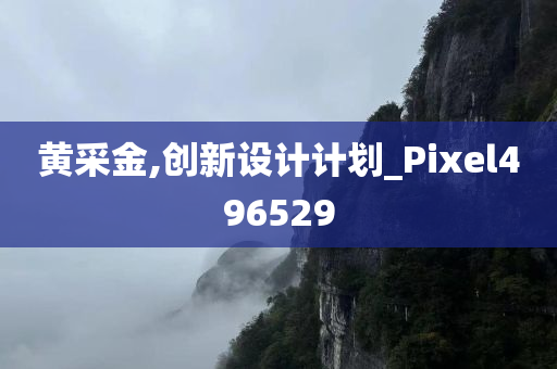 黄采金,创新设计计划_Pixel496529