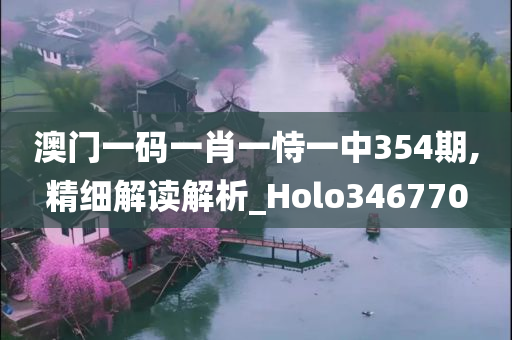 澳门一码一肖一恃一中354期,精细解读解析_Holo346770