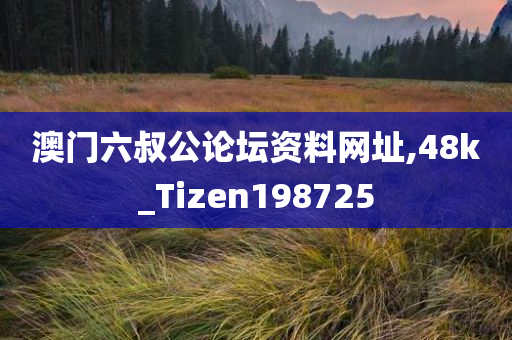 澳门六叔公论坛资料网址,48k_Tizen198725