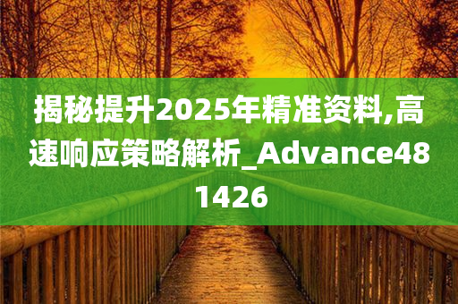 揭秘提升2025年精准资料,高速响应策略解析_Advance481426