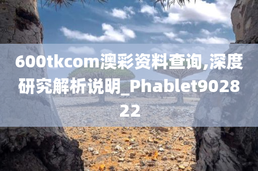 600tkcom澳彩资料查询,深度研究解析说明_Phablet902822