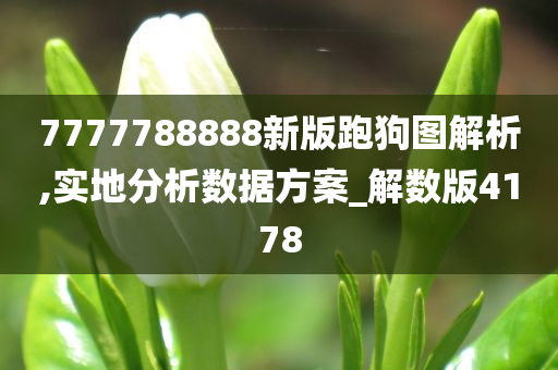 7777788888新版跑狗图解析,实地分析数据方案_解数版4178