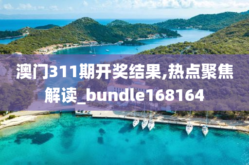 澳门311期开奖结果,热点聚焦解读_bundle168164