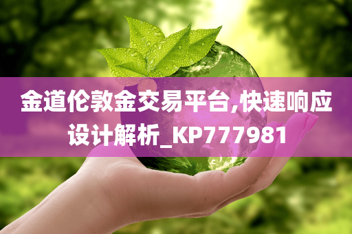 金道伦敦金交易平台,快速响应设计解析_KP777981