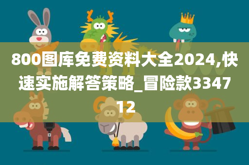 800图库免费资料大全2024,快速实施解答策略_冒险款334712