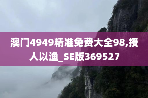 澳门4949精准免费大全98,授人以渔_SE版369527