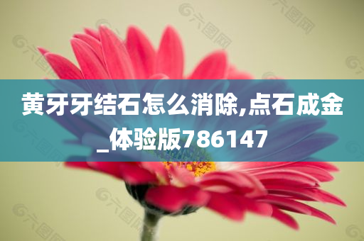 黄牙牙结石怎么消除,点石成金_体验版786147