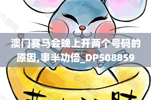 澳门赛马会晚上开两个号码的原因,事半功倍_DP508859