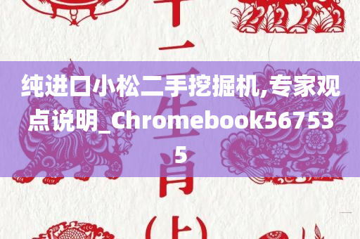 纯进口小松二手挖掘机,专家观点说明_Chromebook567535