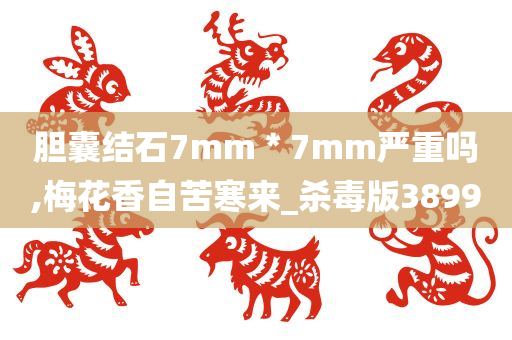 胆囊结石7mm＊7mm严重吗,梅花香自苦寒来_杀毒版3899