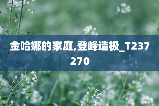 金哈娜的家庭,登峰造极_T237270