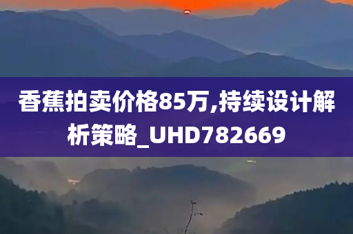 香蕉拍卖价格85万,持续设计解析策略_UHD782669