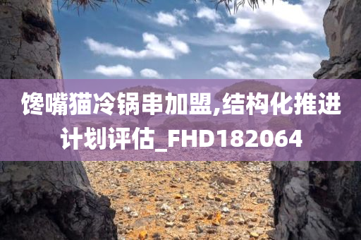 馋嘴猫冷锅串加盟,结构化推进计划评估_FHD182064