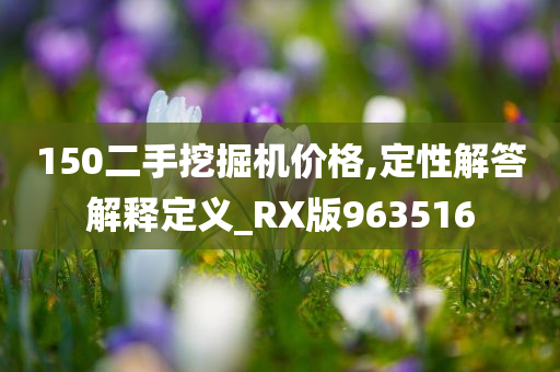 150二手挖掘机价格,定性解答解释定义_RX版963516