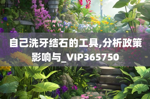 自己洗牙结石的工具,分析政策影响与_VIP365750