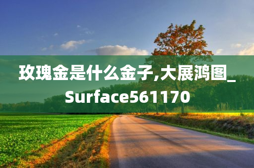 玫瑰金是什么金子,大展鸿图_Surface561170