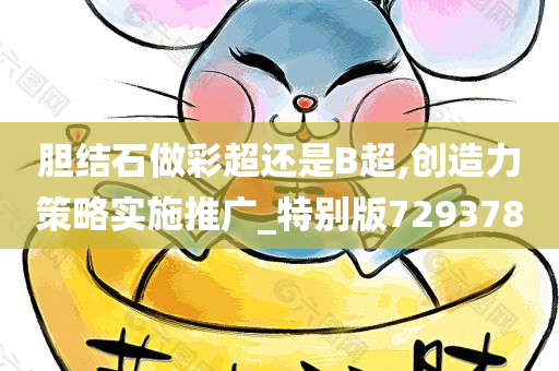 胆结石做彩超还是B超,创造力策略实施推广_特别版729378