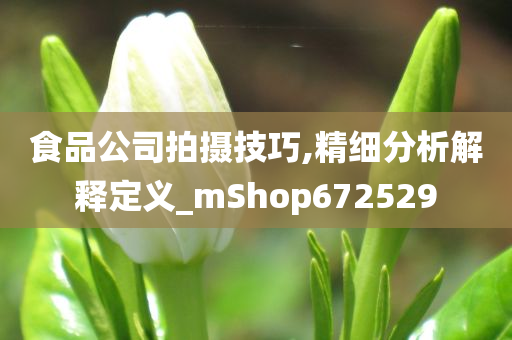 食品公司拍摄技巧,精细分析解释定义_mShop672529