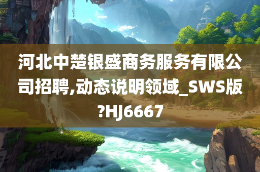 河北中楚银盛商务服务有限公司招聘,动态说明领域_SWS版?HJ6667