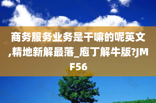 商务服务业务是干嘛的呢英文,精地新解最落_庖丁解牛版?JMF56