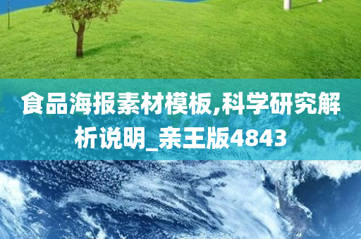 食品海报素材模板,科学研究解析说明_亲王版4843