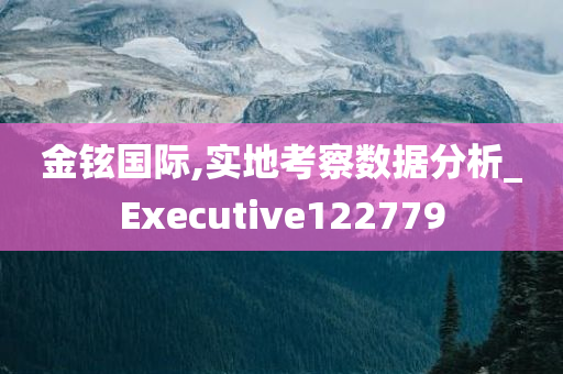 金铉国际,实地考察数据分析_Executive122779