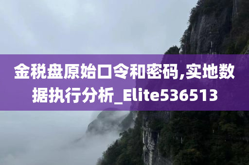 金税盘原始口令和密码,实地数据执行分析_Elite536513