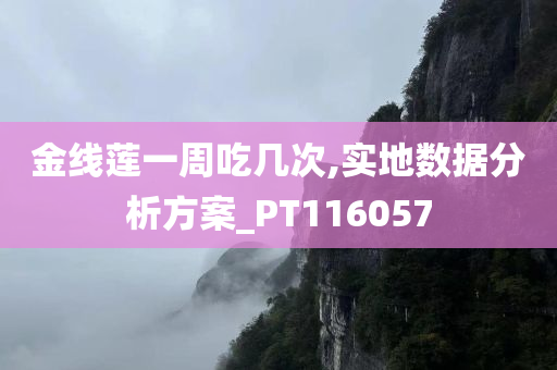 金线莲一周吃几次,实地数据分析方案_PT116057