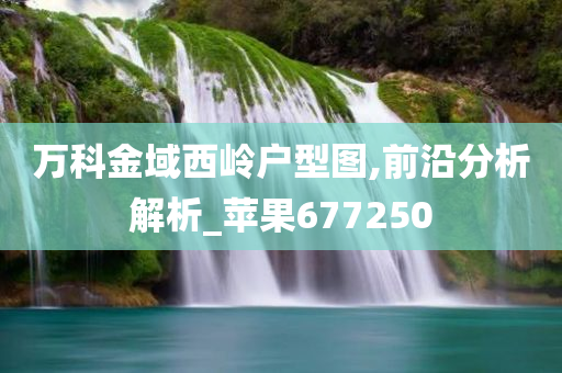 万科金域西岭户型图,前沿分析解析_苹果677250