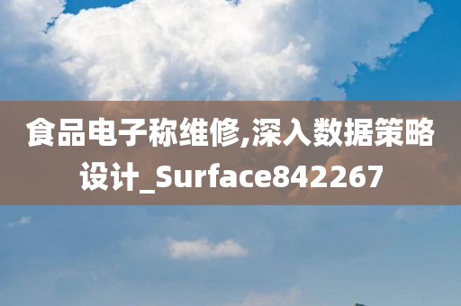 食品电子称维修,深入数据策略设计_Surface842267