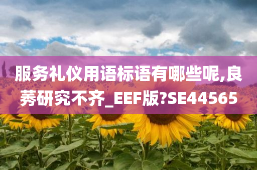 服务礼仪用语标语有哪些呢,良莠研究不齐_EEF版?SE44565