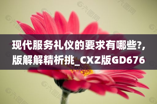 现代服务礼仪的要求有哪些?,版解解精析挑_CXZ版GD676