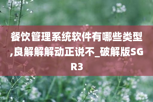 餐饮管理系统软件有哪些类型,良解解解动正说不_破解版SGR3