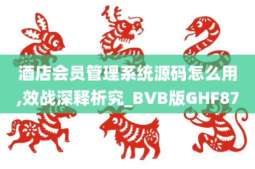 酒店会员管理系统源码怎么用,效战深释析究_BVB版GHF87