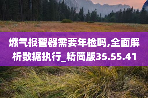 燃气报警器需要年检吗,全面解析数据执行_精简版35.55.41