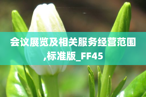 会议展览及相关服务经营范围,标准版_FF45