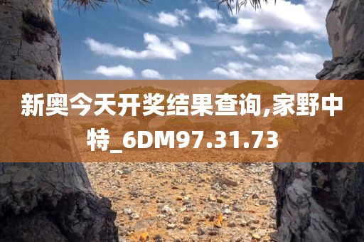 新奥今天开奖结果查询,家野中特_6DM97.31.73