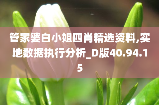 管家婆白小姐四肖精选资料,实地数据执行分析_D版40.94.15