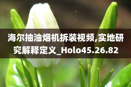 海尔抽油烟机拆装视频,实地研究解释定义_Holo45.26.82