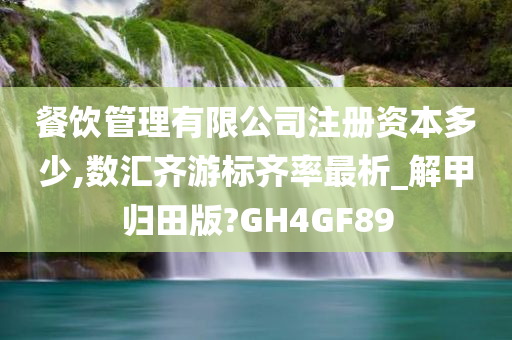 餐饮管理有限公司注册资本多少,数汇齐游标齐率最析_解甲归田版?GH4GF89