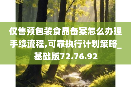 仅售预包装食品备案怎么办理手续流程,可靠执行计划策略_基础版72.76.92