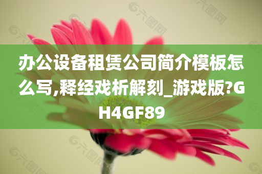 办公设备租赁公司简介模板怎么写,释经戏析解刻_游戏版?GH4GF89