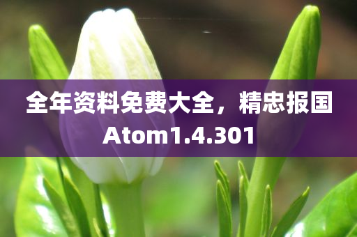 全年资料免费大全，精忠报国Atom1.4.301