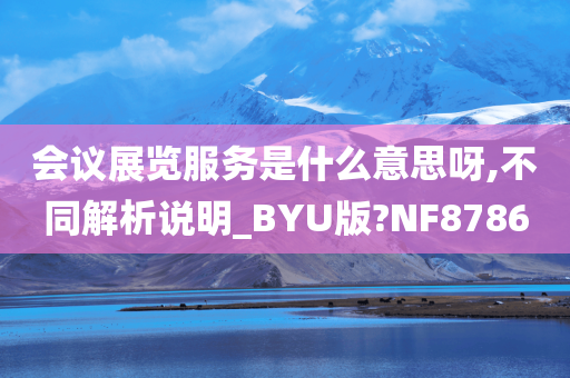 会议展览服务是什么意思呀,不同解析说明_BYU版?NF8786