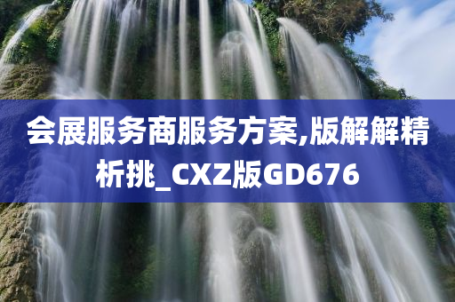 会展服务商服务方案,版解解精析挑_CXZ版GD676