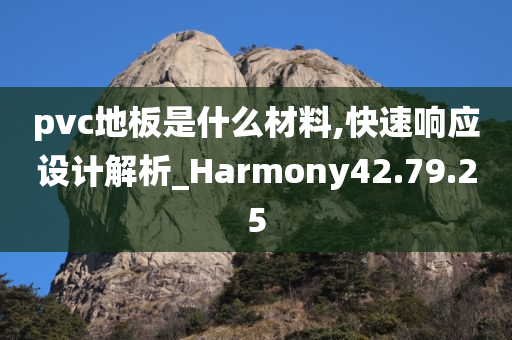 pvc地板是什么材料,快速响应设计解析_Harmony42.79.25