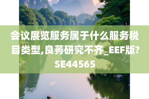 会议展览服务属于什么服务税目类型,良莠研究不齐_EEF版?SE44565